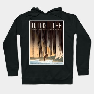 Restored USA Dept of the Interior and National Park Service Wildlife Preservation Poster Hoodie